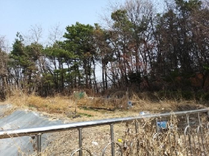 서울남부지법 2025타경8982-1 사진
