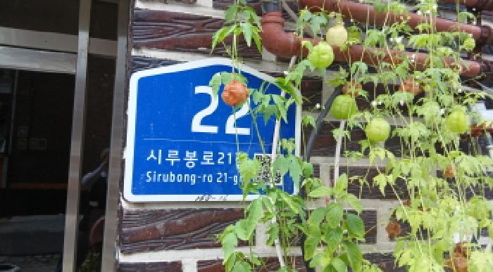서울북부지법 2025타경13036-1 사진