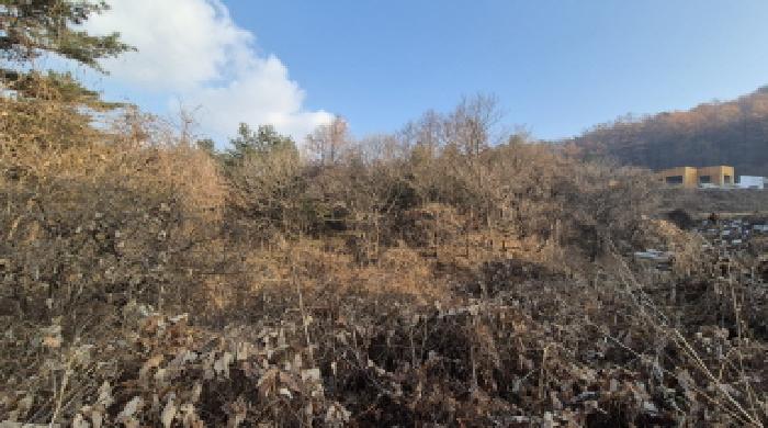 의정부지법 2025타경73623-1 사진