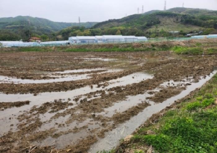 의정부지법 2026타경70792-1 사진