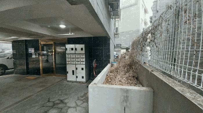 서울서부지법 2025타경50980-1 사진