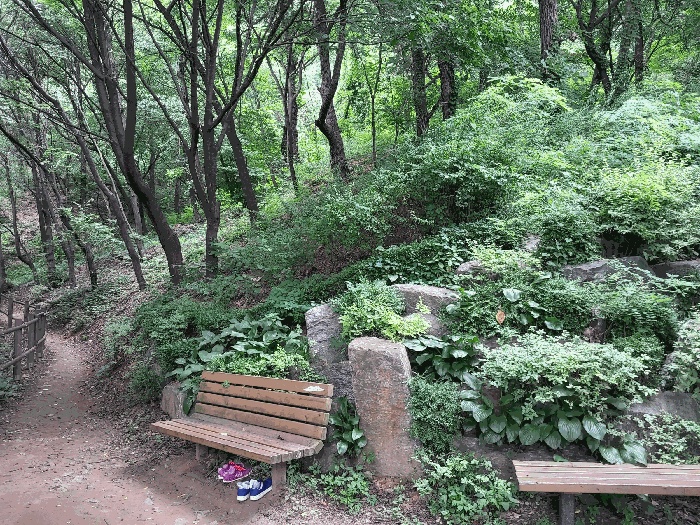 서울서부지법 2025타경51606-1 사진