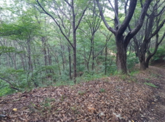 인천지법 2023타경530659-2 사진