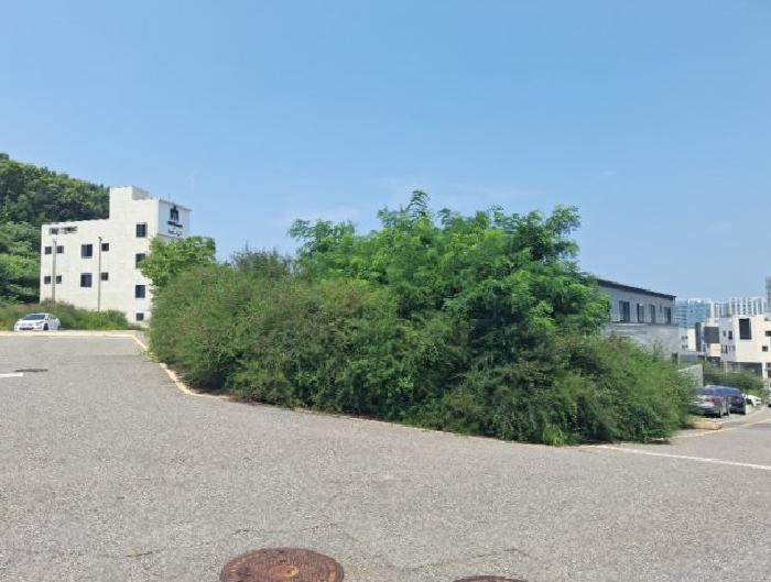인천지법 2025타경1282-1 사진