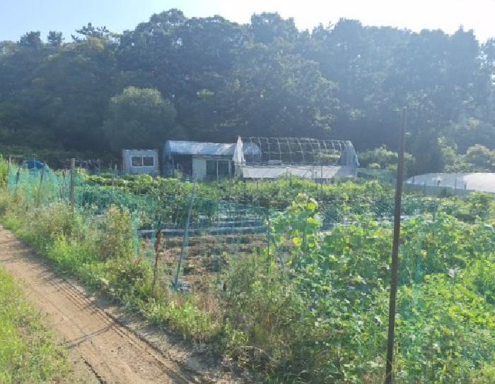 인천지법 2025타경1353-1 사진