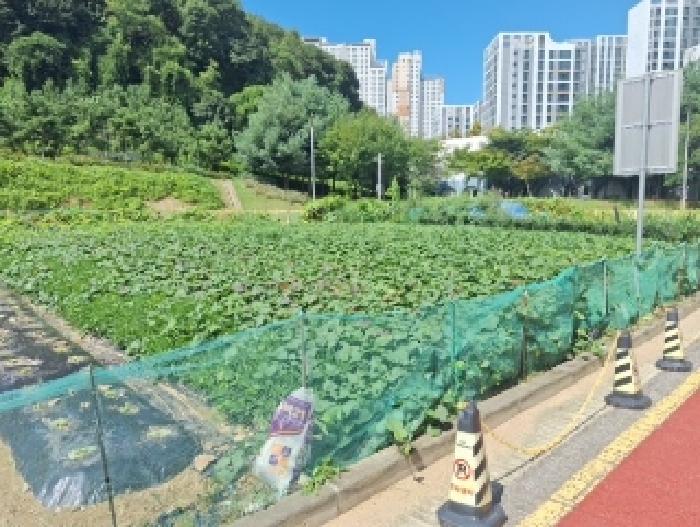 인천지법 2025타경511650-1 사진