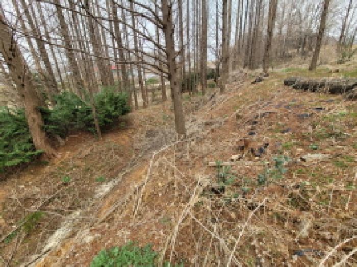 부천지원 2025타경32858-4 사진