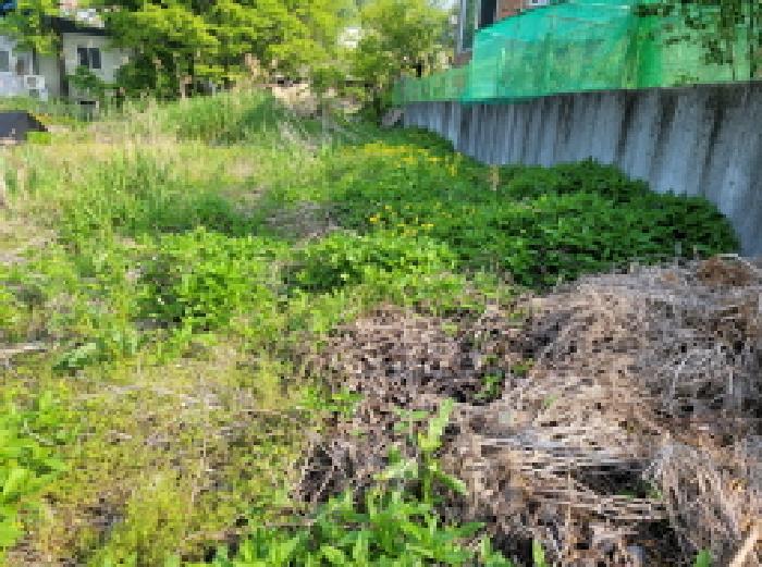 부천지원 2025타경33366-2 사진