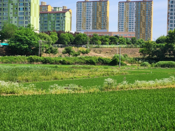 수원지법 2024타경74337-1 사진