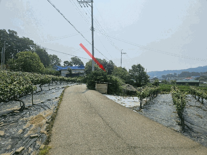 수원지법 2025타경1232-2 사진