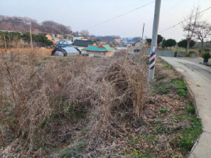 수원지법 2025타경54954-1 사진