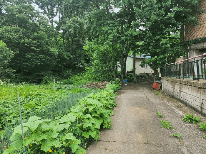 수원지법 2025타경56599-1 사진