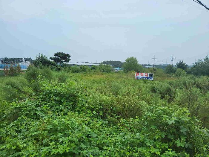 수원지법 2025타경57774-1 사진