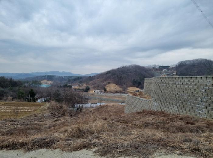 성남지원 2025타경640-1 사진