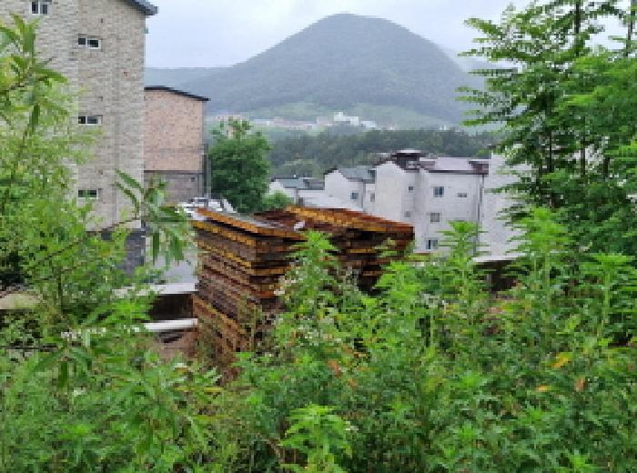 성남지원 2025타경52309-1 사진