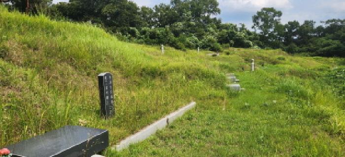 성남지원 2025타경52831-1 사진
