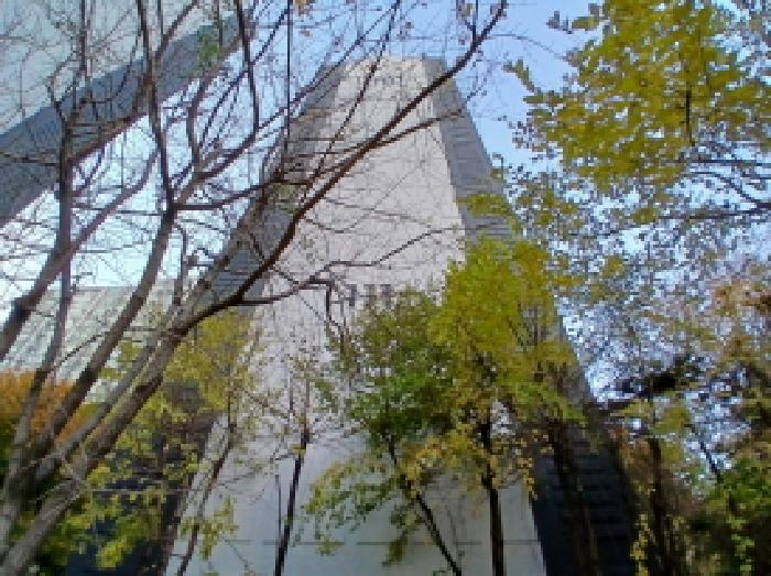 성남지원 2025타경53385-1 사진
