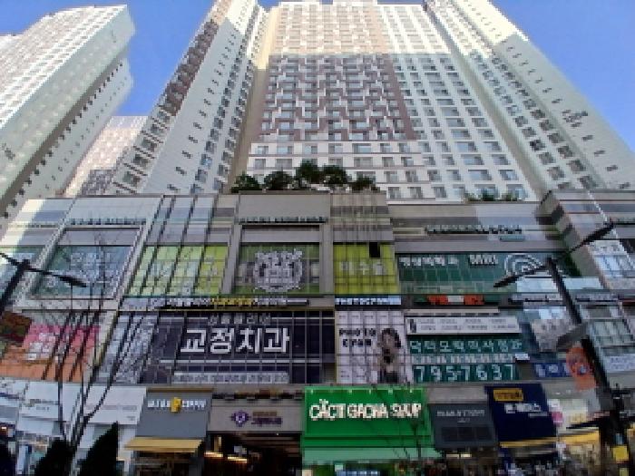 성남지원 2025타경53520-1 사진
