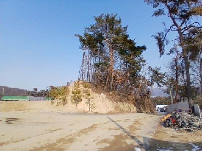 성남지원 2026타경50054-2 사진
