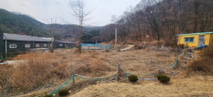 성남지원 2026타경50377-1 사진