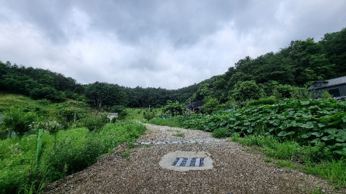 여주지원 2024타경3669-1 사진