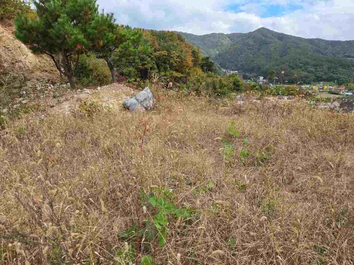여주지원 2024타경5696-1 사진