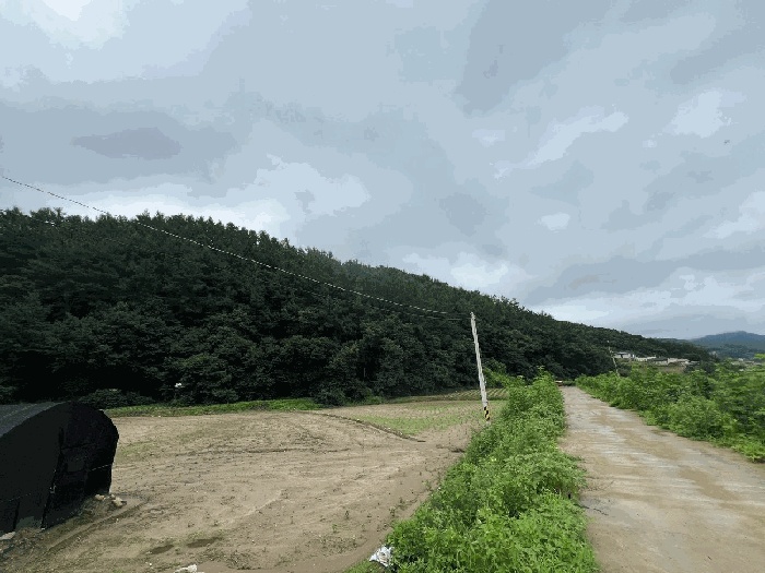 여주지원 2024타경36539-1 사진