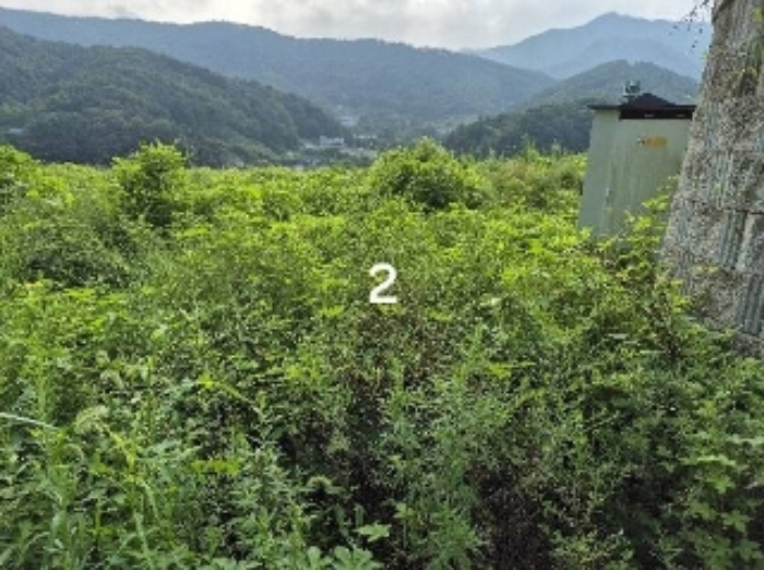 여주 2024타경37440-1 사진