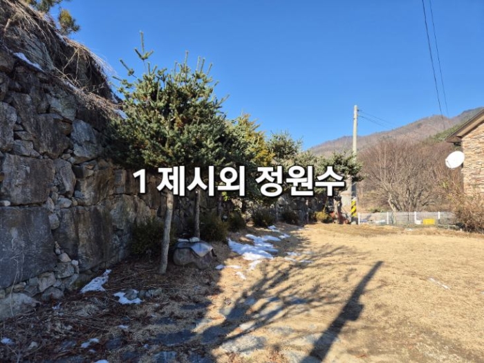 여주지원 2024타경41449-1 사진