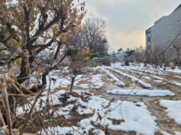 여주지원 2024타경41661-1 사진