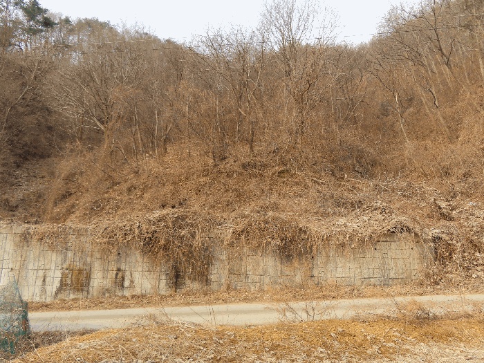 여주지원 2025타경566-1 사진