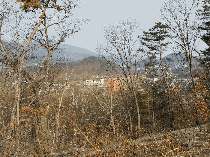 2025타경30935-1 사진