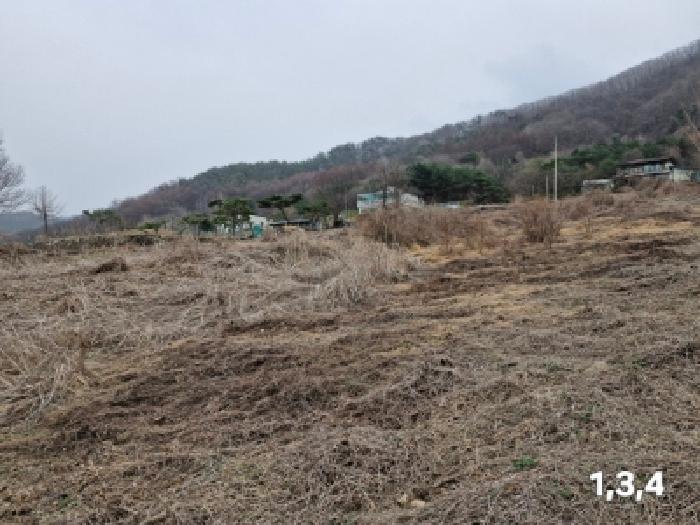 여주지원 2025타경31011-1 사진