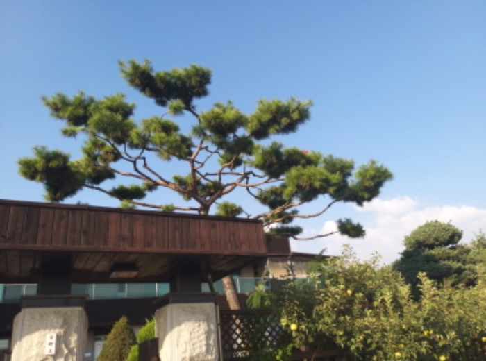 평택지원 2024타경3631-1 사진