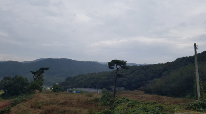 평택지원 2024타경52534-6 사진