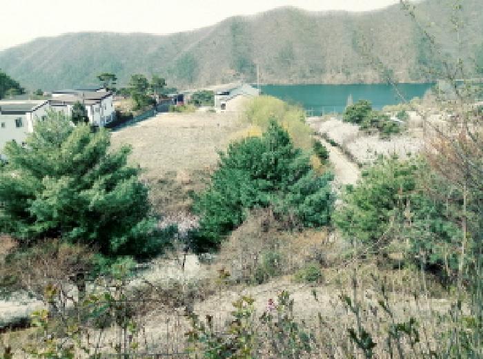 평택지원 2025타경567-1 사진
