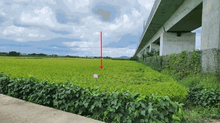 평택지원 2025타경790-1 사진