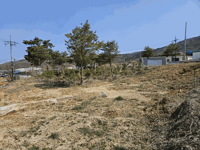 평택지원 2025타경41686-1 사진