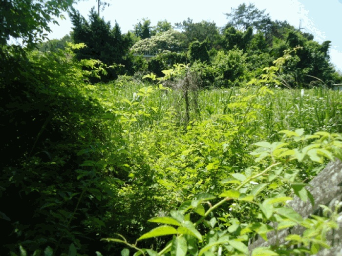 평택지원 2025타경42005-1 사진