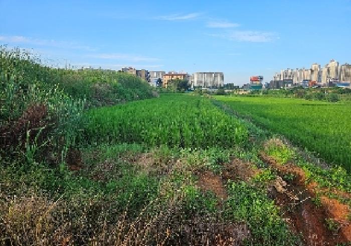 평택지원 2025타경42343-1 사진