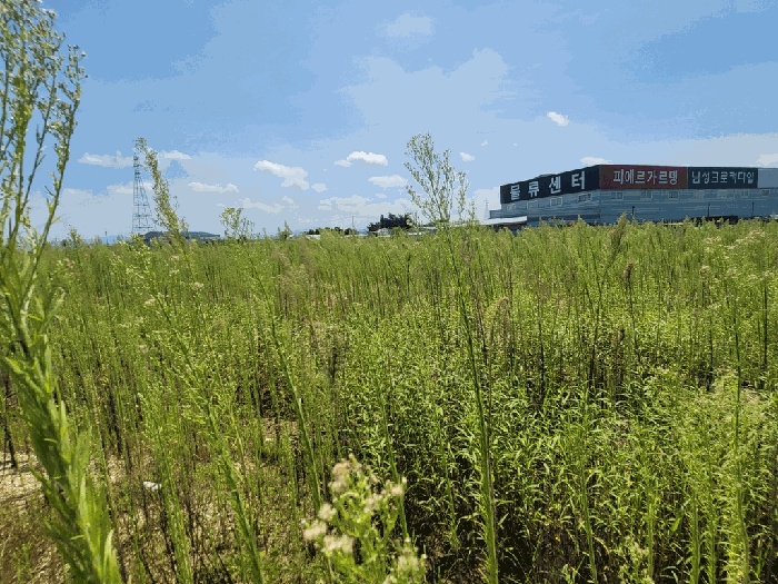 평택지원 2025타경42410-2 사진