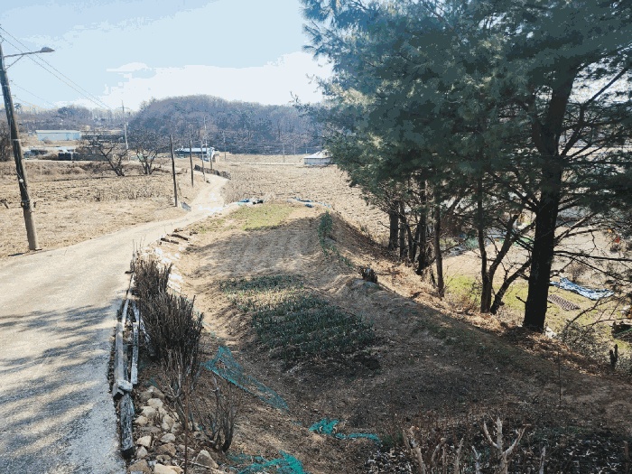평택지원 2026타경50476-1 사진