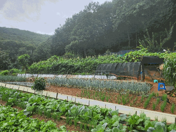 안양지원 2025타경101345-1 사진