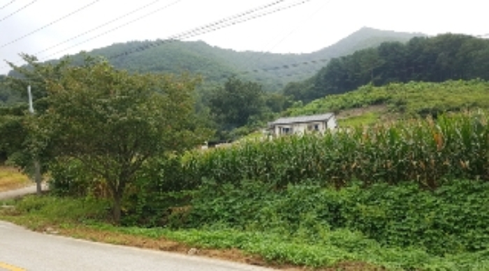 춘천지법 2024타경51904-2 사진