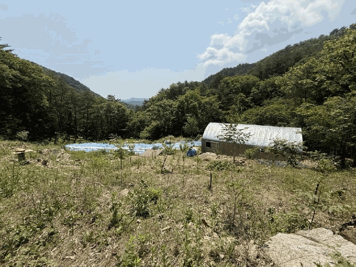 춘천지법 2025타경1074-1 사진