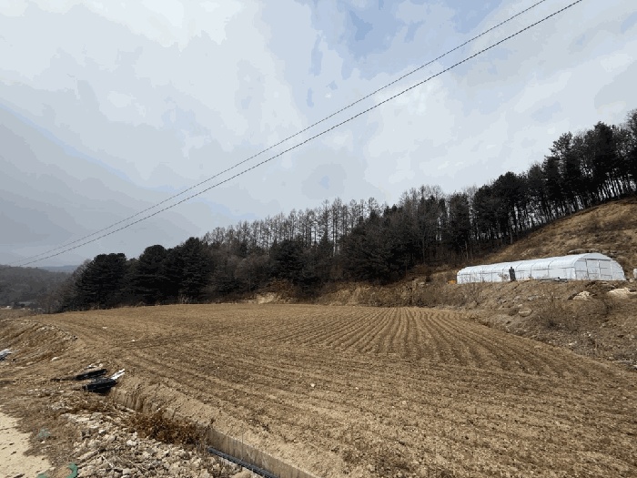 춘천지법 2025타경2602-1 사진