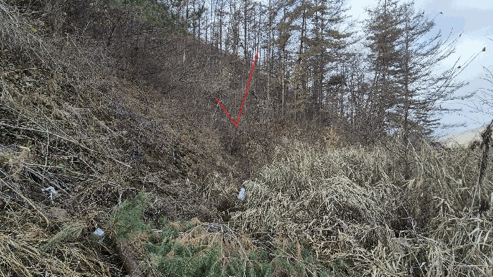 춘천지법 2025타경2626-1 사진