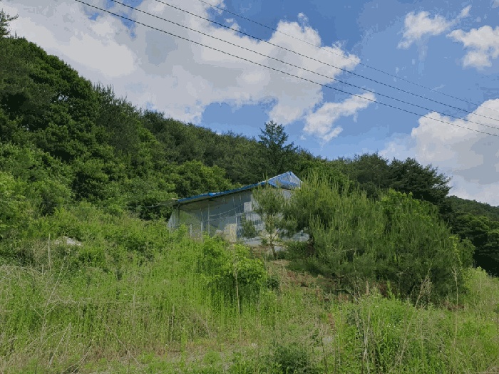 춘천지법 2025타경50708-1 사진