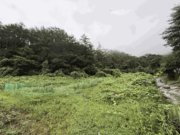 춘천지법 2025타경50824-1 사진