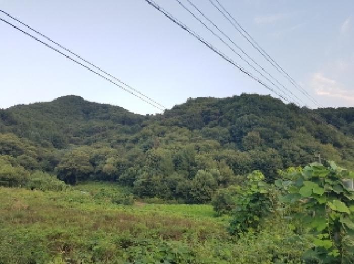 춘천지법 2025타경50888-1 사진